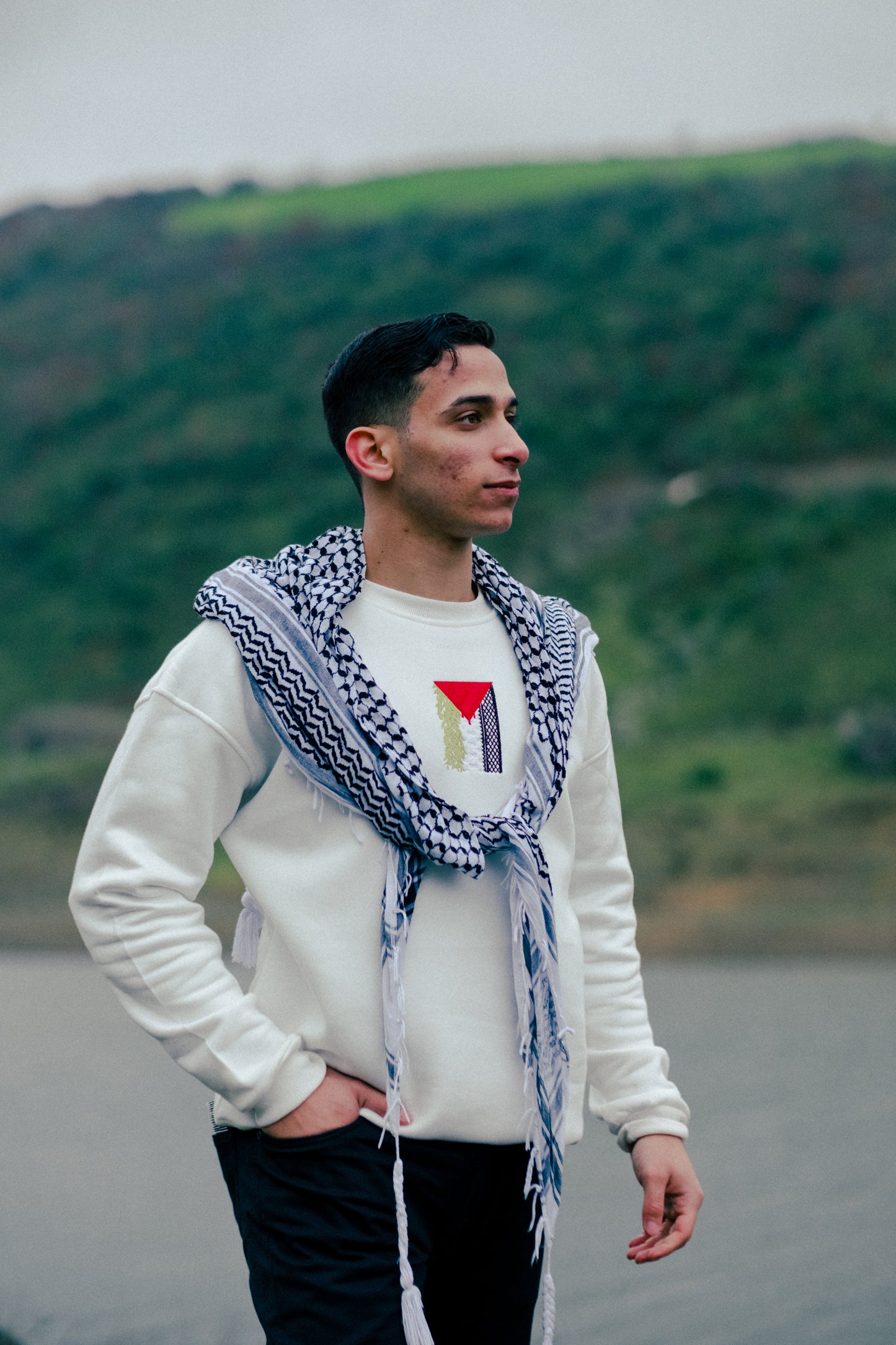 Palestinian Embroidered Flag