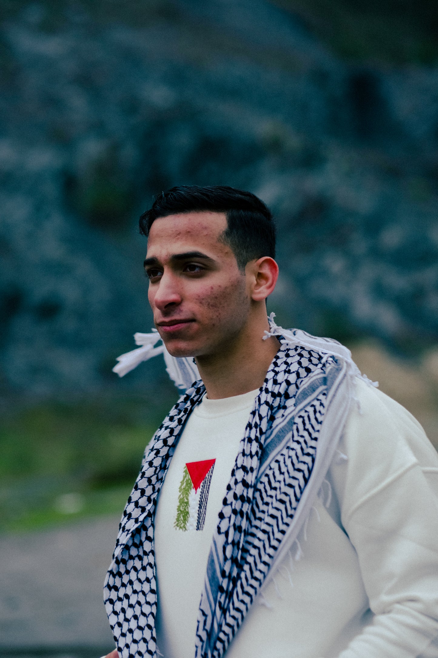 Palestinian Embroidered Flag